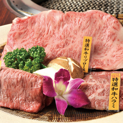 RAZAN(ラザン)炭火焼肉 ススキノ店