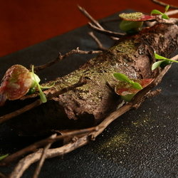 Restaurant La cime