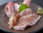おさかなダイニング 魚心