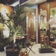 GREEN DECORATE