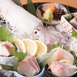 炉ばた髙