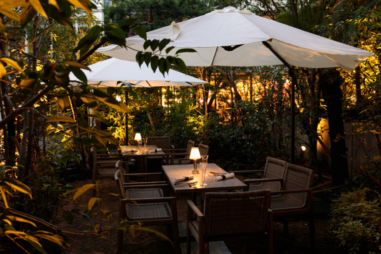 愛犬と一緒に行きたい ペットｏｋ オシャレで美味しいカフェ レストラン