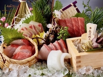 【ヒトサラ限定】2.5時間飲み放題付8品『徳川 竹千代・旬和食コース』〈5,000円⇒4,000円〉