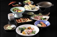 やまとなでしこ