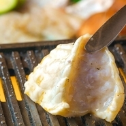 まさにド定番の鉄板ふぐコースです。４大ふぐ料理「刺身」「唐揚げ」「握り」「鍋」をご堪能いただけます。