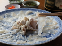 旬の食材を使った料理でゲストをおもてなし