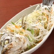 ※画像はイメージです。