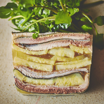 ～旬の食材～シェフのおまかせコース＜全6皿＞