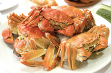 上海蟹コース（11〜12月限定）