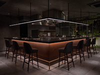 ライブ感溢れるカウンター席