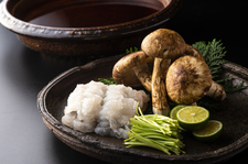 おまかせ夜の懐石コース全10品（食材グレードアップ）