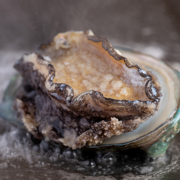 Abalone Course