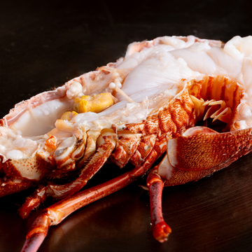 Spiny Lobster Course