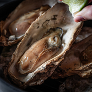 接待や会食にもおすすめな全品個別盛りの特別セパレートコースをご用意。