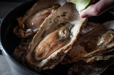 接待や会食にもおすすめな全品個別盛りの特別セパレートコースをご用意。