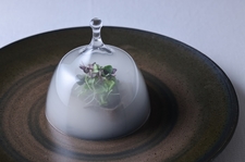 ※画像はイメージです。