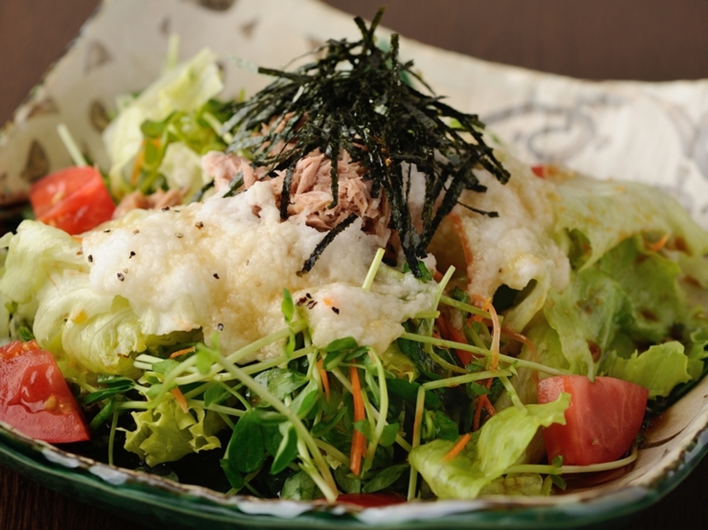 たっぷりの野菜ととろろのうまみ『シーチキンととろろの和風サラダ』